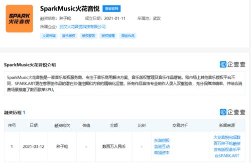 火花音悅獲數百萬種子輪融資，以數據處理服務為引擎，加速音樂版權市場布局